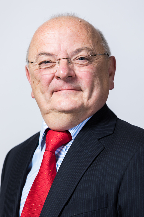 Wallace_0.jpg Professor Robin Wallace
