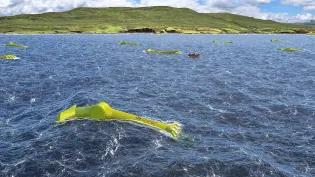 Image of Mocean energy blue horizon wave farm