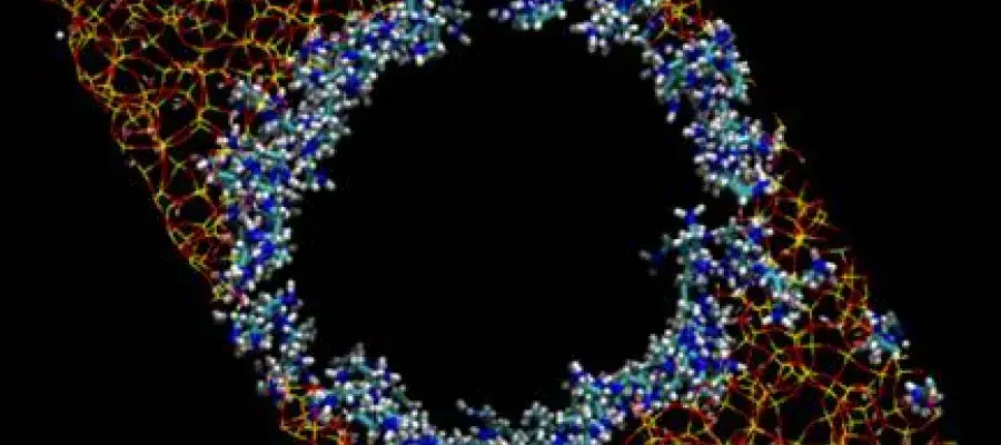 Amine adsorption in silica