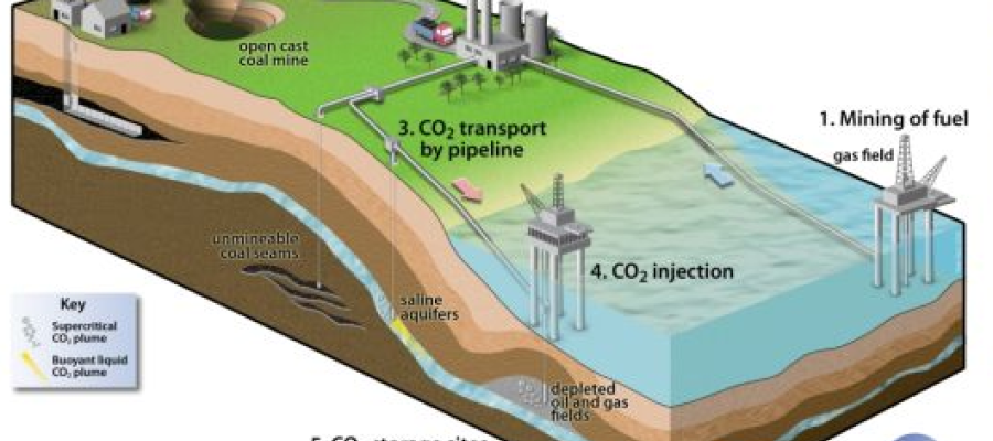 example of carbon capture processes