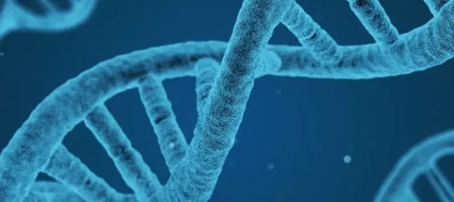 a dna strand black and blue graphic