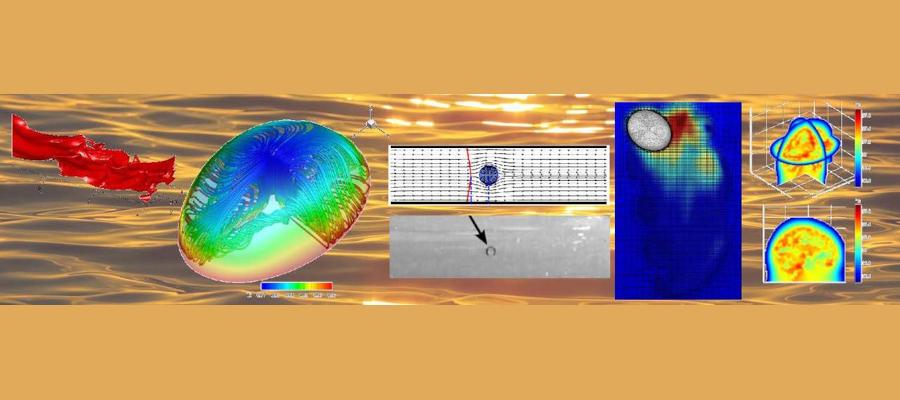  a scientific collage with graphics demonstrating fluid dynamics, multiphase flows and transport phenomena