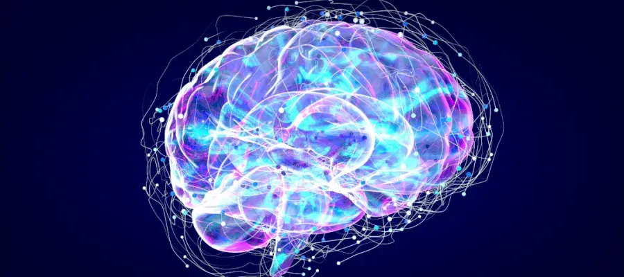graphic of brain sensory netwok demonstrating Neuromorphic computing
