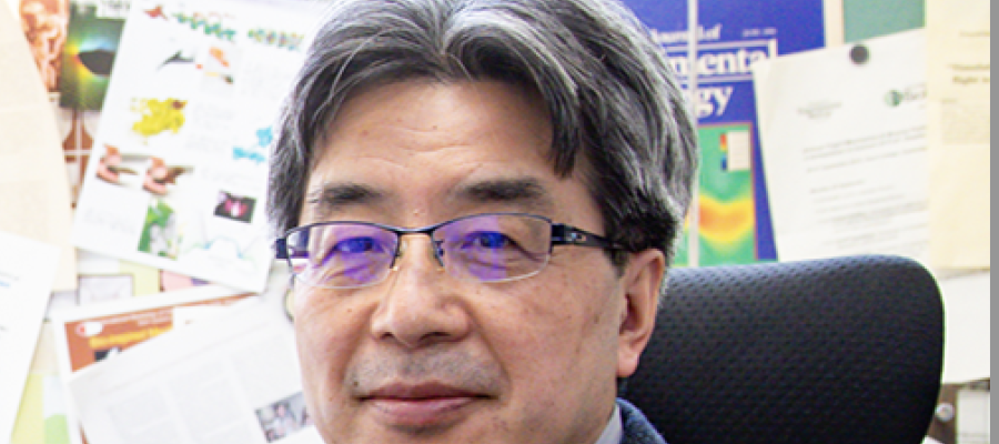  Hao Liu