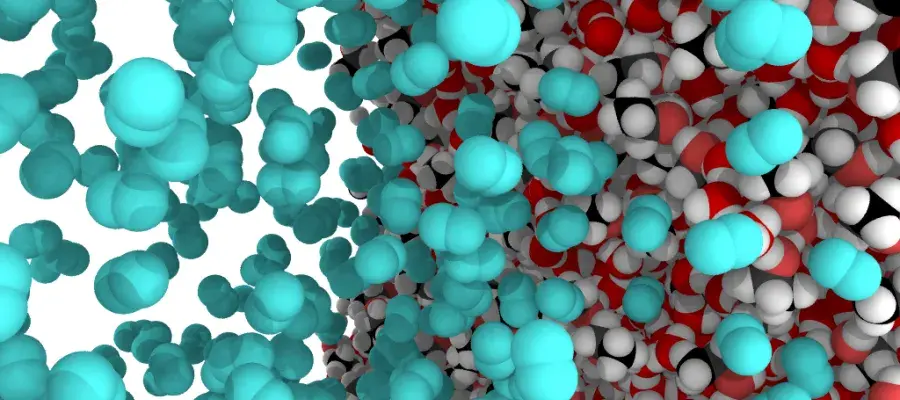 MD simulation of a liquid gas interface, showing the nitrogen and water.
