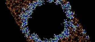 Amine adsorption in silica