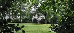 green leaves and grass of a quiet park in edinburgh