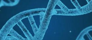 a dna strand black and blue graphic