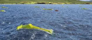 Image of Mocean energy blue horizon wave farm