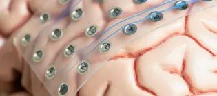 a model brain with a patch of sensors in a circuit - bioeletronics