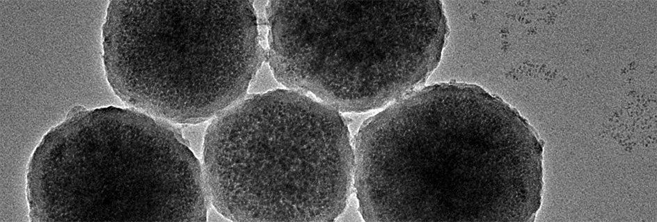Engineered magnetic nanorobots about 300nm in diameter. Image credit: Jianrong Wu || Tiny magnetic robots could treat bleeds in the brain