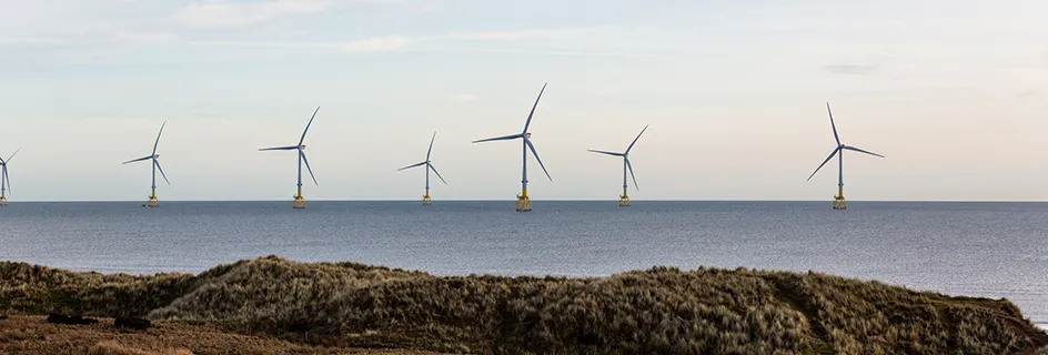 Wind farm on the East Coast of Scotland. Credit: Getty images, Alex Walker. || Partnership set to boost offshore wind tech