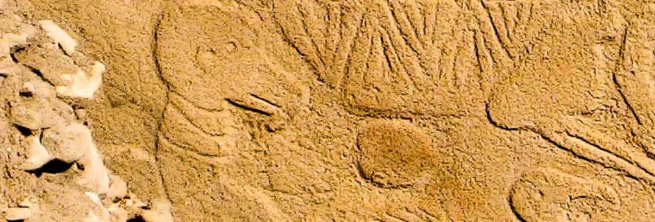 Marks on a pillar at Gobekli Tepe which may represent an ancient calendar. || Carvings at ancient monument may be world’s oldest calendar