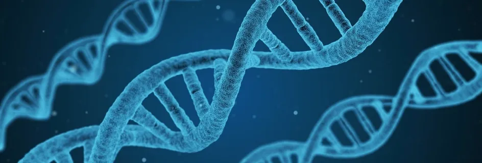 Strands of DNA || Identifying criminals from a single cell