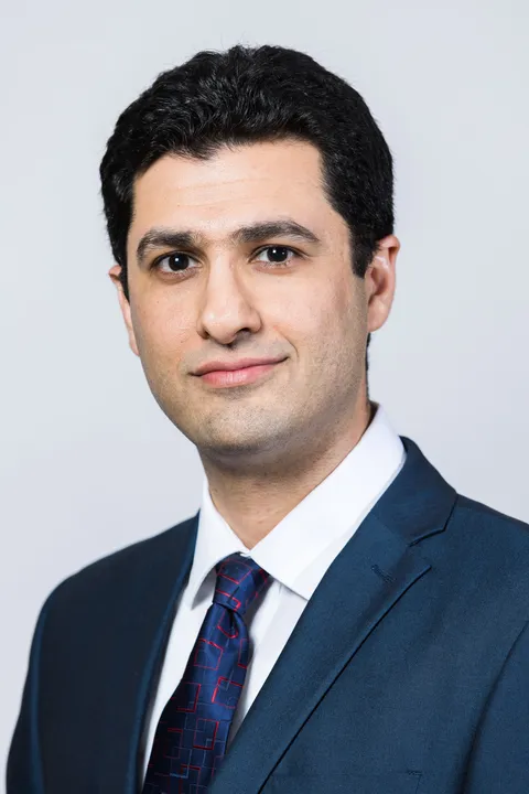 Professor Majid Safari