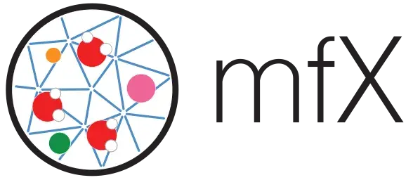 Multiscale Flow X group logo