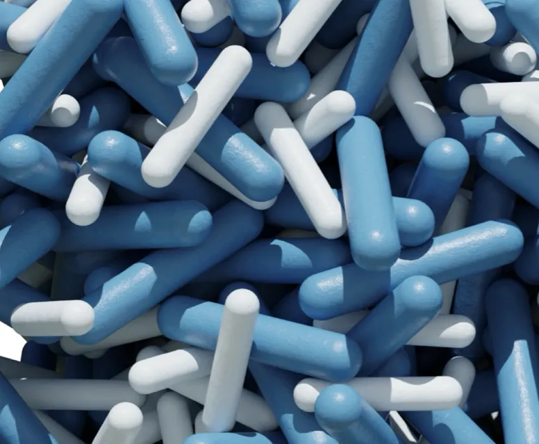 Snapshot of a suspension of flowing elongated particles