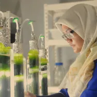 Inspecting algae