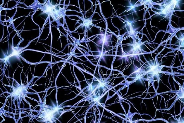 Sensory network like lightning