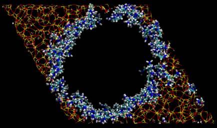 Amine adsorption in silica