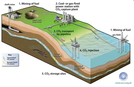 example of carbon capture processes