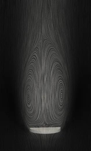 Separated vortex ring in the wake of a porous disk