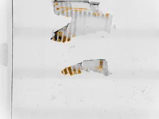 Gel electrophoresis experiments