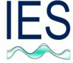 Institute of Energy Systems logo