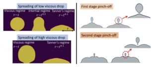 illustration of spreading of low and high viscous drops, and first and second stage pinch-off