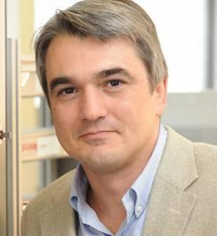 Professor Stefano Brandani, FIChemE, Professor of Chemical Engineering