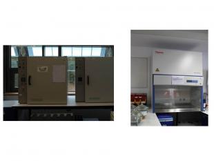 images of the microbiology lab