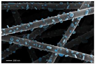 Electrospun nanofibres