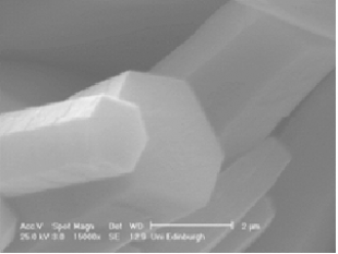 Figure 2 Zinc oxide nanowires grown by the hydrothermal method