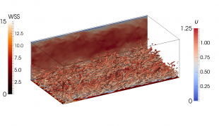 CFD simulation of turbulent flow (T. Jozsa and I.M. Viola)